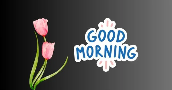 Best Good Morning Shayari in Hindi