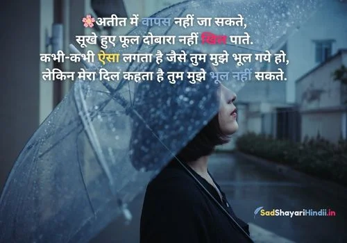 Miss You Janu Shayari in Hindi