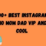 300+ Best Instagram Bio Mom Dad VIP and Cool