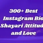 300+ Best Instagram Bio Shayari Attitude and Love