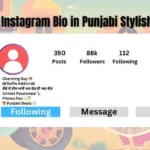 500+ Best Instagram Bio in Punjabi Stylish and Cute