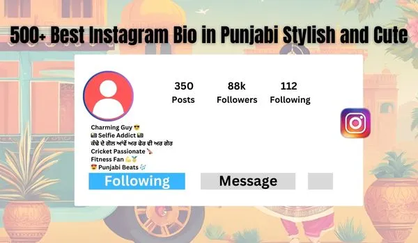 500+ Best Instagram Bio in Punjabi Stylish and Cute