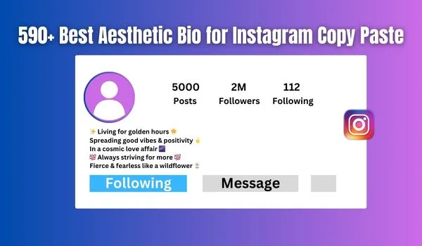 590 Best Aesthetic Bio for Instagram Copy Paste