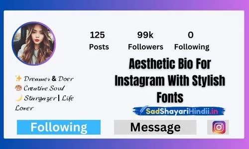 Aesthetic Bio For Instagram With Stylish Fonts