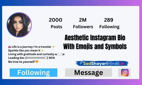 Aesthetic Instagram Bio With Emojis and Symbols