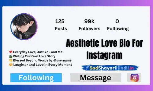 Aesthetic Love Bio For Instagram