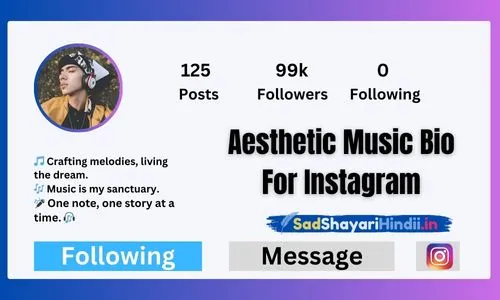 Aesthetic Music Bio For Instagram