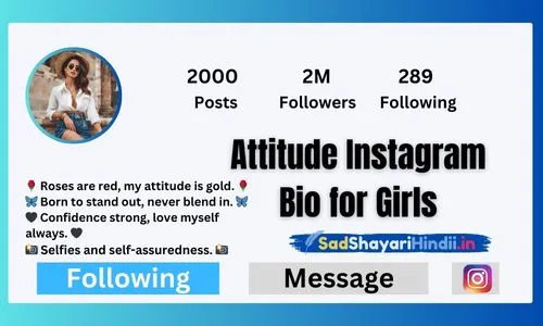 Attitude Instagram Bio for Girls