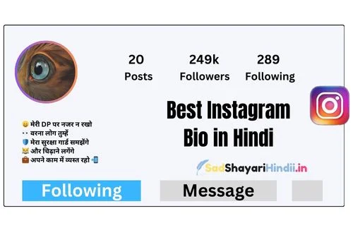 Best Instagram Bio in Hindi