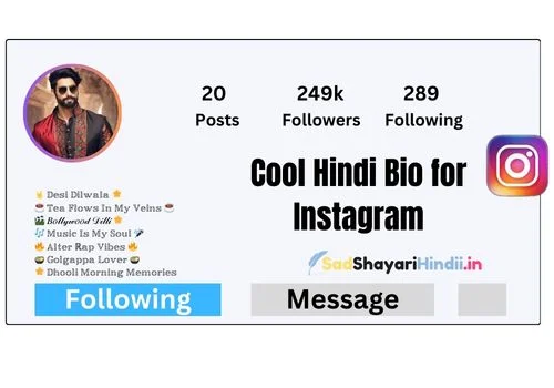 Cool Hindi Bio for Instagram