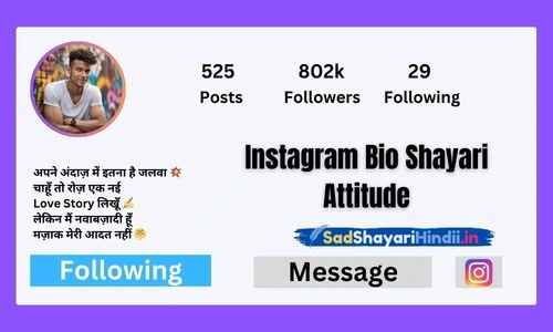 Instagram Bio Shayari Attitude