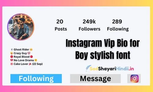 Instagram Vip Bio for Boy stylish font