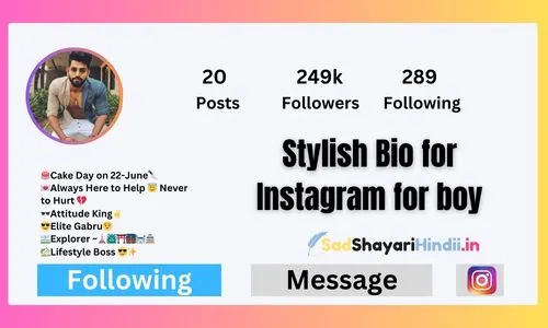 Stylish Bio for Instagram for boy