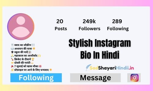 Stylish Instagram Bio In Hindi