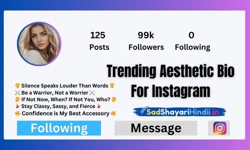 Trending Aesthetic Bio For Instagram